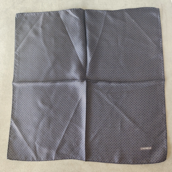 Daniel Cremieux Accessories - Cremieux square scarf graphite 100%silk foulard micro print hand bag head new$35